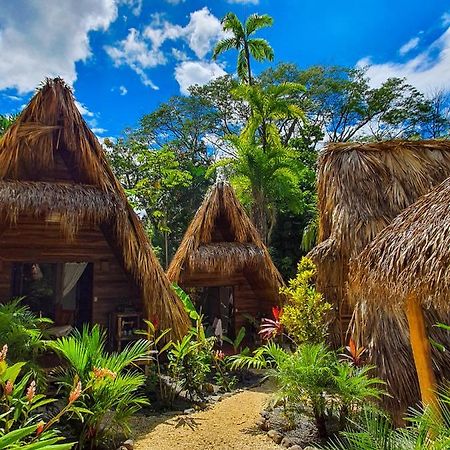 Buena Onda Bungalows Playa Santa Teresa  المظهر الخارجي الصورة