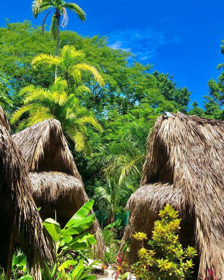 Buena Onda Bungalows Playa Santa Teresa  المظهر الخارجي الصورة